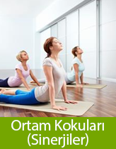 Ortam Kokuları (Sinerjiler)