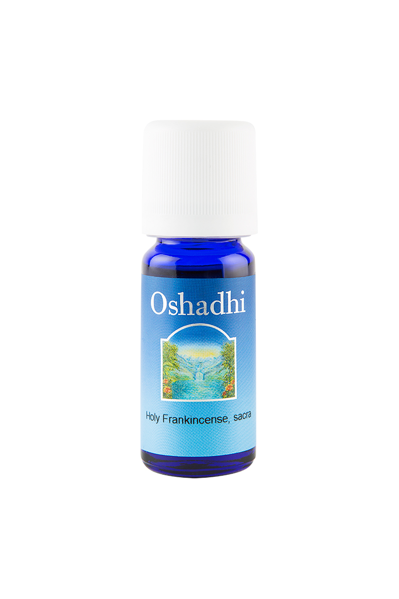 Günlük Yağı - Sığla (Frankincense) Yağı (10 ml) Sacra