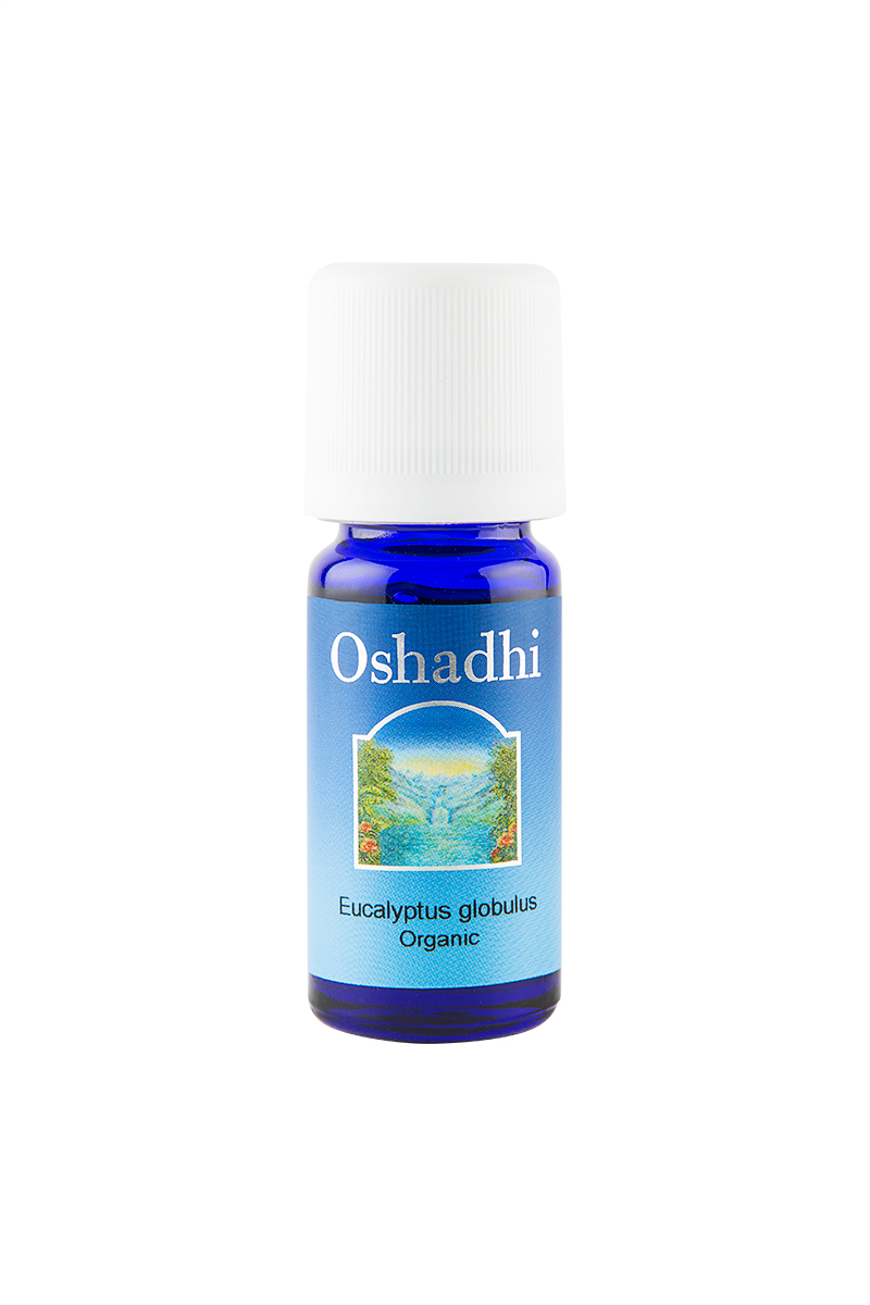 Okaliptus Yağı - (10ml)
