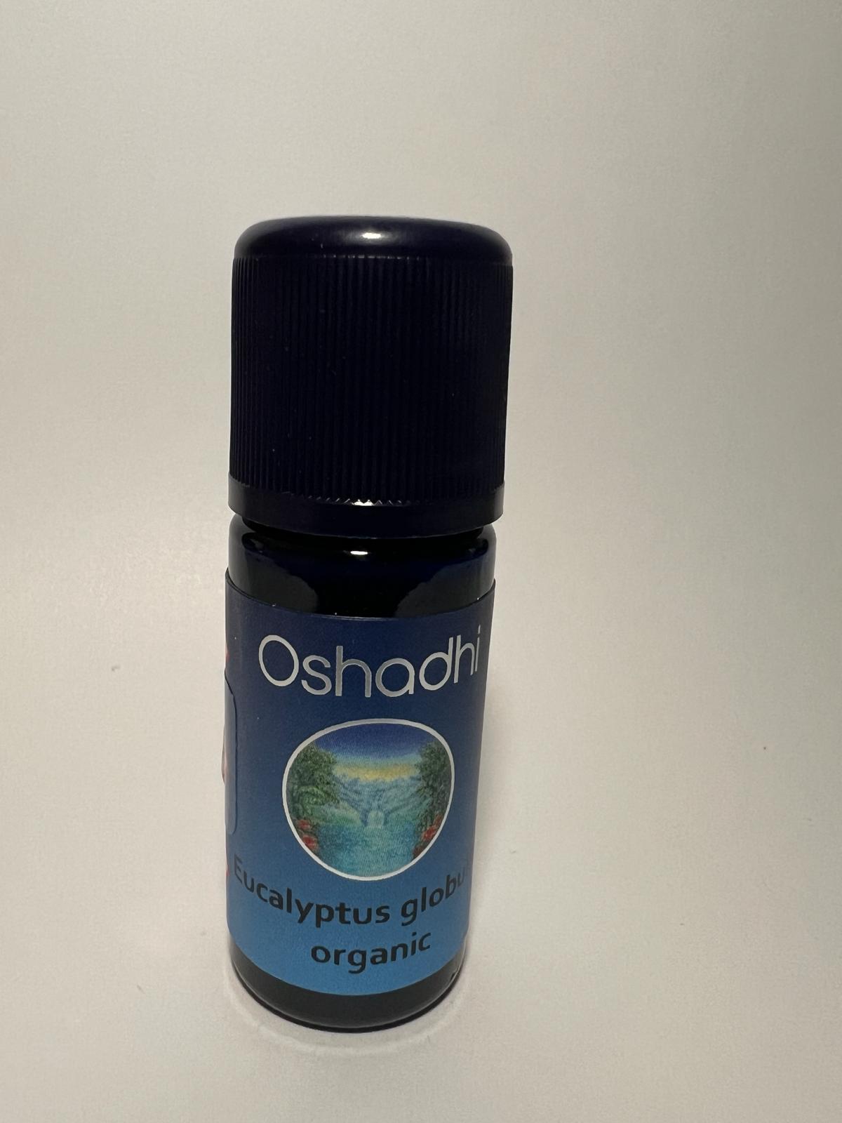 Okaliptus Yağı - (10ml)