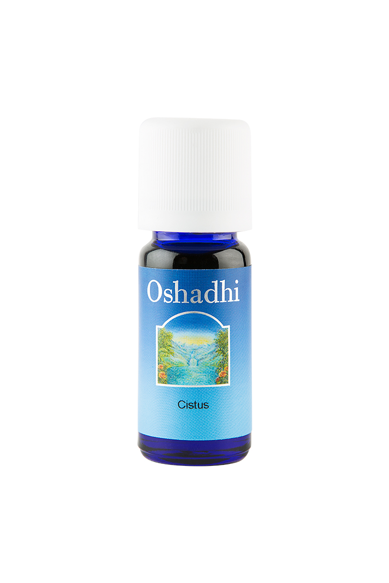 Cistus (Laden) Yağı (10 ml)