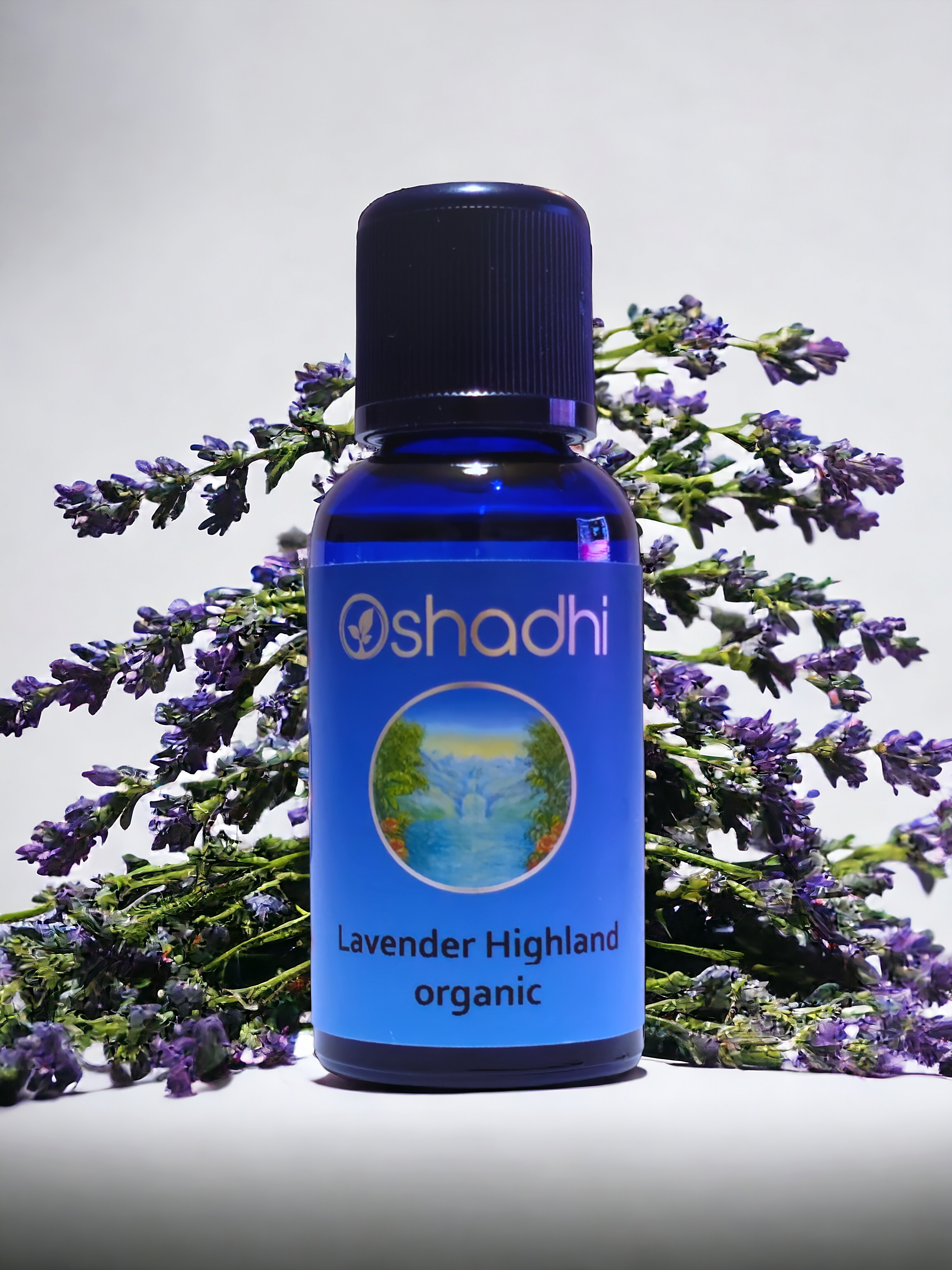 Lavander Highland - Lavanta 30ml