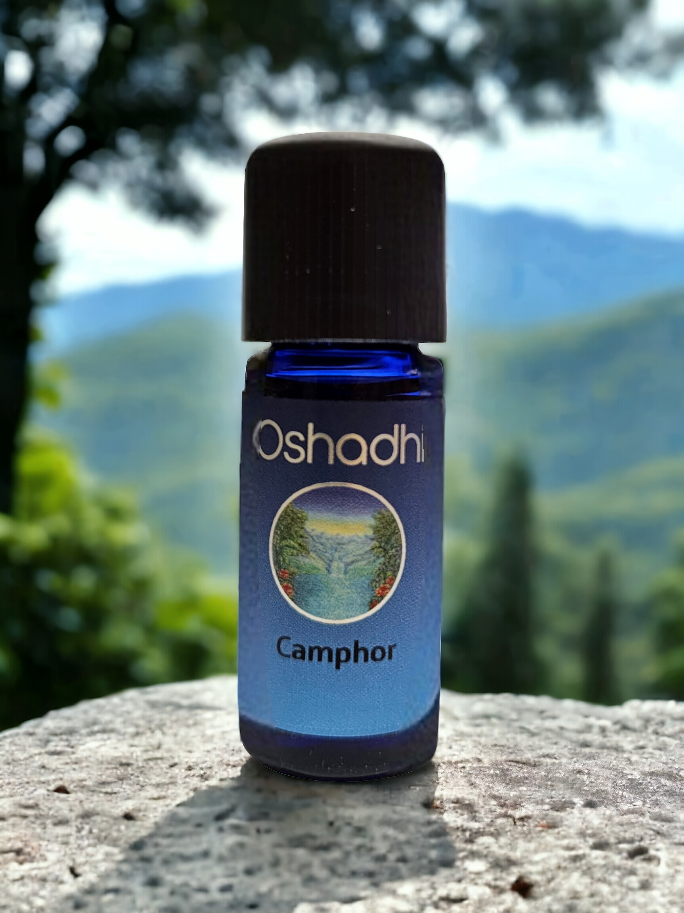 Camphor 10 ml.