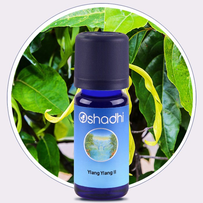 Ylang Ylang II (Organic) 10ML