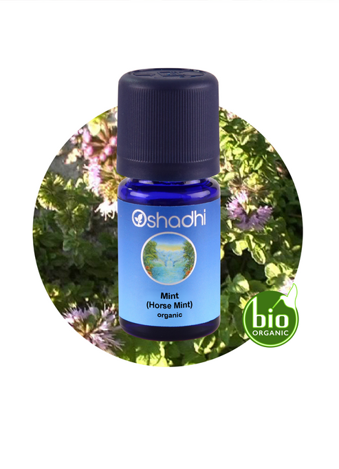 Mint (Horse Mint) 30 ML-Nane
