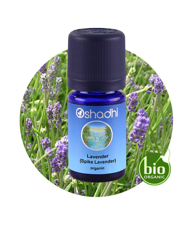 LAVENDER SPIKE 10ML,Lavandula latifolia