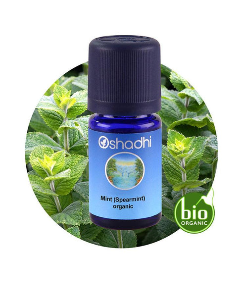 Nane Yağı (Spearmint) 10ML, Mentha spicata
