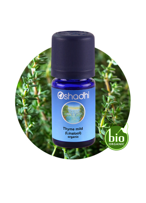 Thymian Yağı, 10ML (Linalool), Thymus zygis