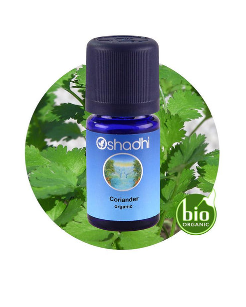 Coriander 10 ML, Kişniş Yağı, Coriandrum sativum