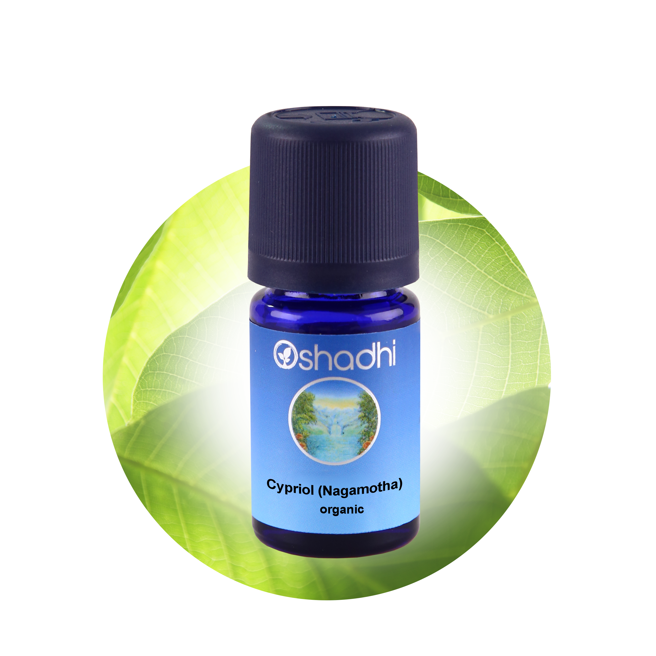 Cypriol Nagarmotha (cyperus scariosus) 5ml, Nagarmotha