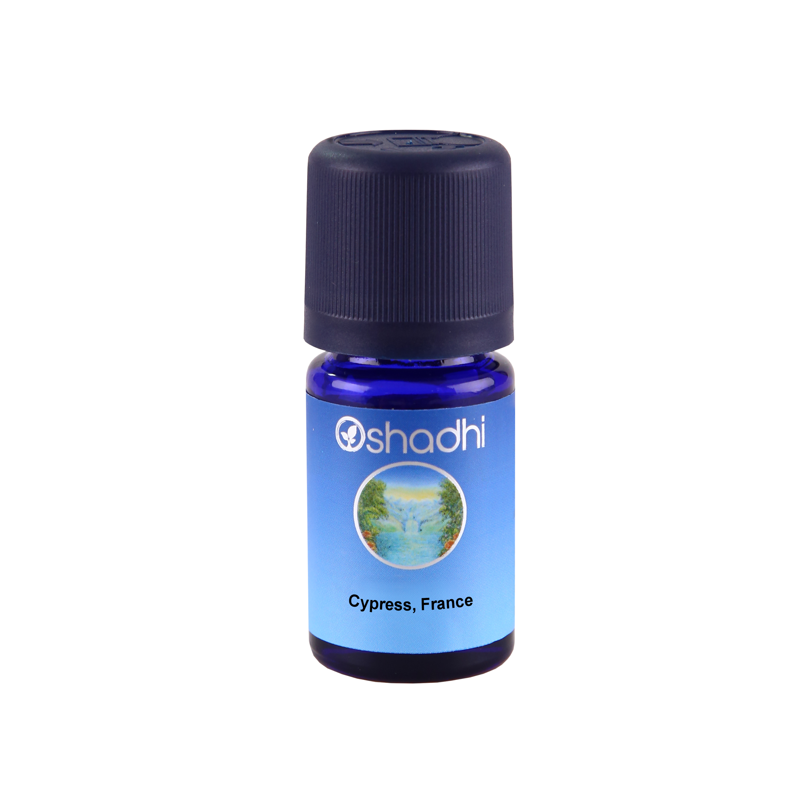 Cypress France 10ml,Cupressus sempervirens, Fransız Servi Uçucu Yağı Cypress France 10ml,Cupressus sempervirens, Fransız Servi Uçucu Yağı
