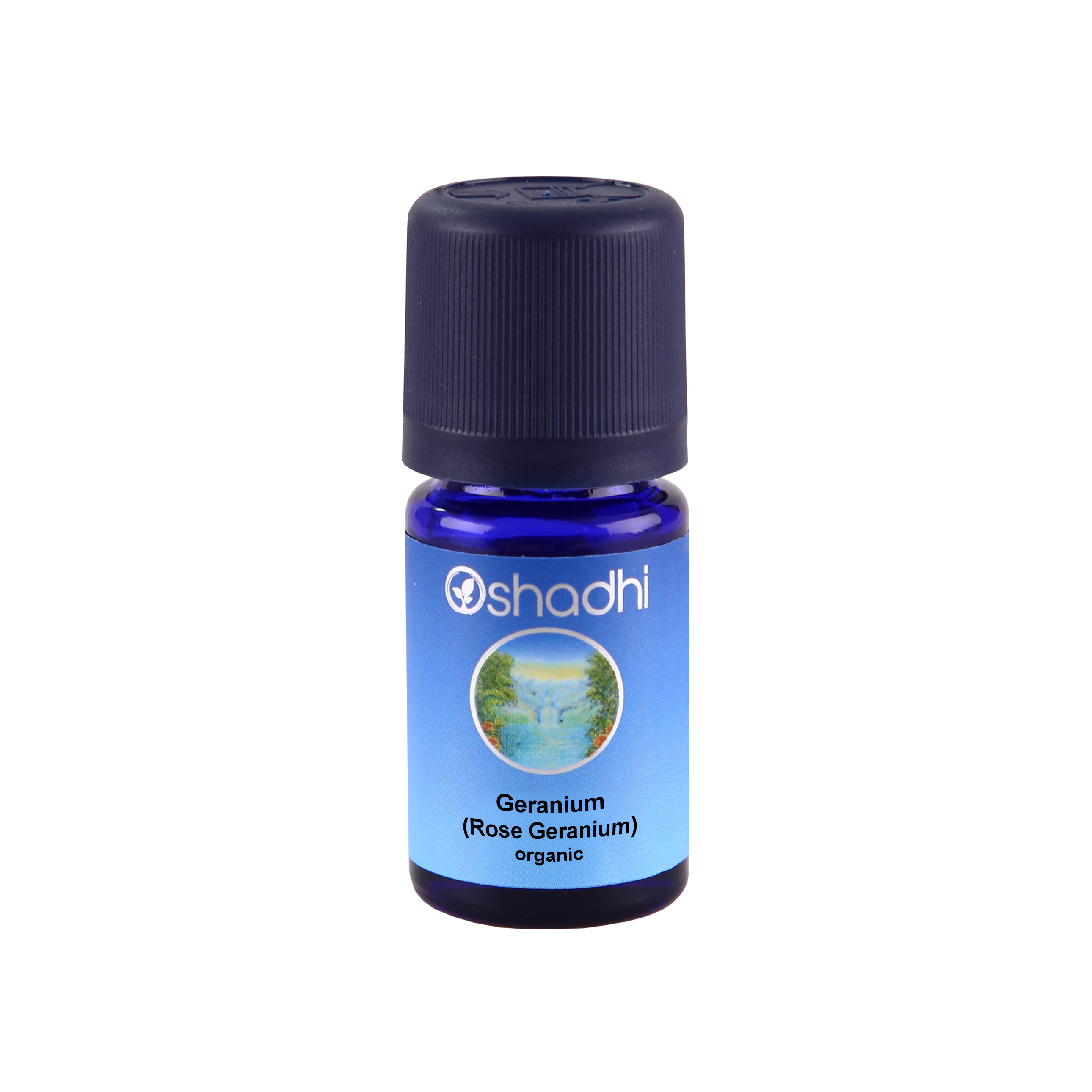 Geranium Rose 10ml,Gül Sardunyası (Organik) Pelargonium graveolens